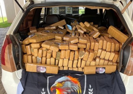Polícia Civil apreende cerca de 700 kg de maconha