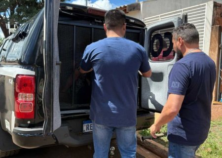 Integrante de uma das facções criminosas mais violentas do norte é preso em Campo Grande