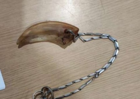Homem &eacute; preso ap&oacute;s agredir companheira com colar feito de garra de tatu
