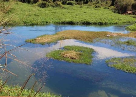 Justiça barra manobra da JBS e libera nova perícia sobre córrego turístico poluído em MS