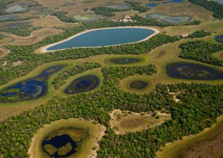Minist&eacute;rio abre sele&ccedil;&atilde;o para projetos sustent&aacute;veis no Pantanal e outros biomas