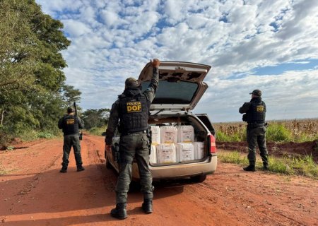 DOF apreende veículo carregado com agrotóxicos