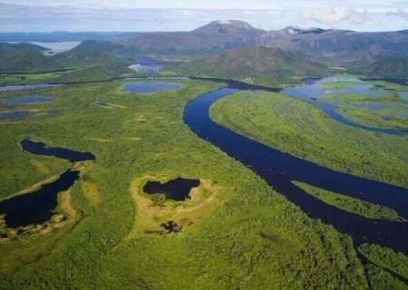 Ades&atilde;o a programa para remunerar quem preserva o Pantanal come&ccedil;a dia 18