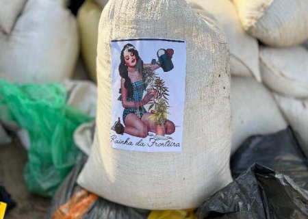 Opera&ccedil;&atilde;o contra "Rainha" do narcotr&aacute;fico destr&oacute;i toneladas de maconha