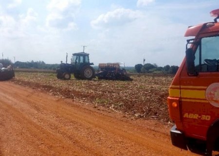 Idoso morre ao ser atacado por abelhas enquanto plantava soja