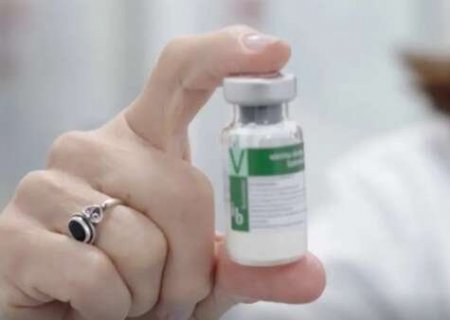 Vacina brasileira contra dengue come&ccedil;a a ser aplicada em janeiro