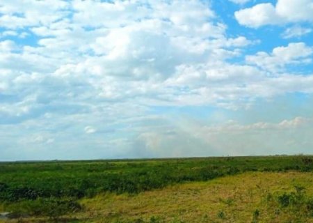 Mato Grosso do Sul está fora de zona de alerta vermelho do El Niño