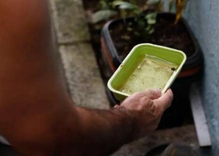 Minist&eacute;rio da Sa&uacute;de alerta para risco de alta da dengue com avan&ccedil;o do El Ni&ntilde;o