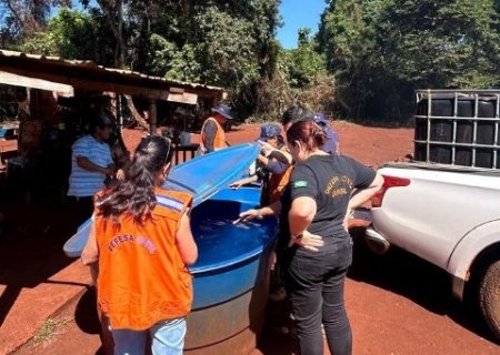 Chikungunya mata mais uma pessoa e MS chega a 30 &oacute;bitos em 2026