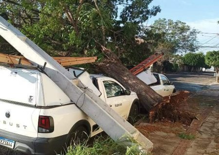MS ter&aacute; tr&ecirc;s dias de alerta para tempestades e ventos podem chegar a 100 km/h